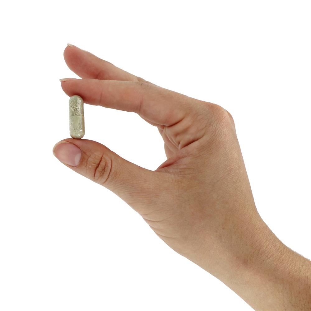 Vivo Múltiplas-Vitamina Inteiro Comida Energizer Não Ferro Adicionado - Cápsulas vegetarianas 90 Nature's Way - Imagem 6