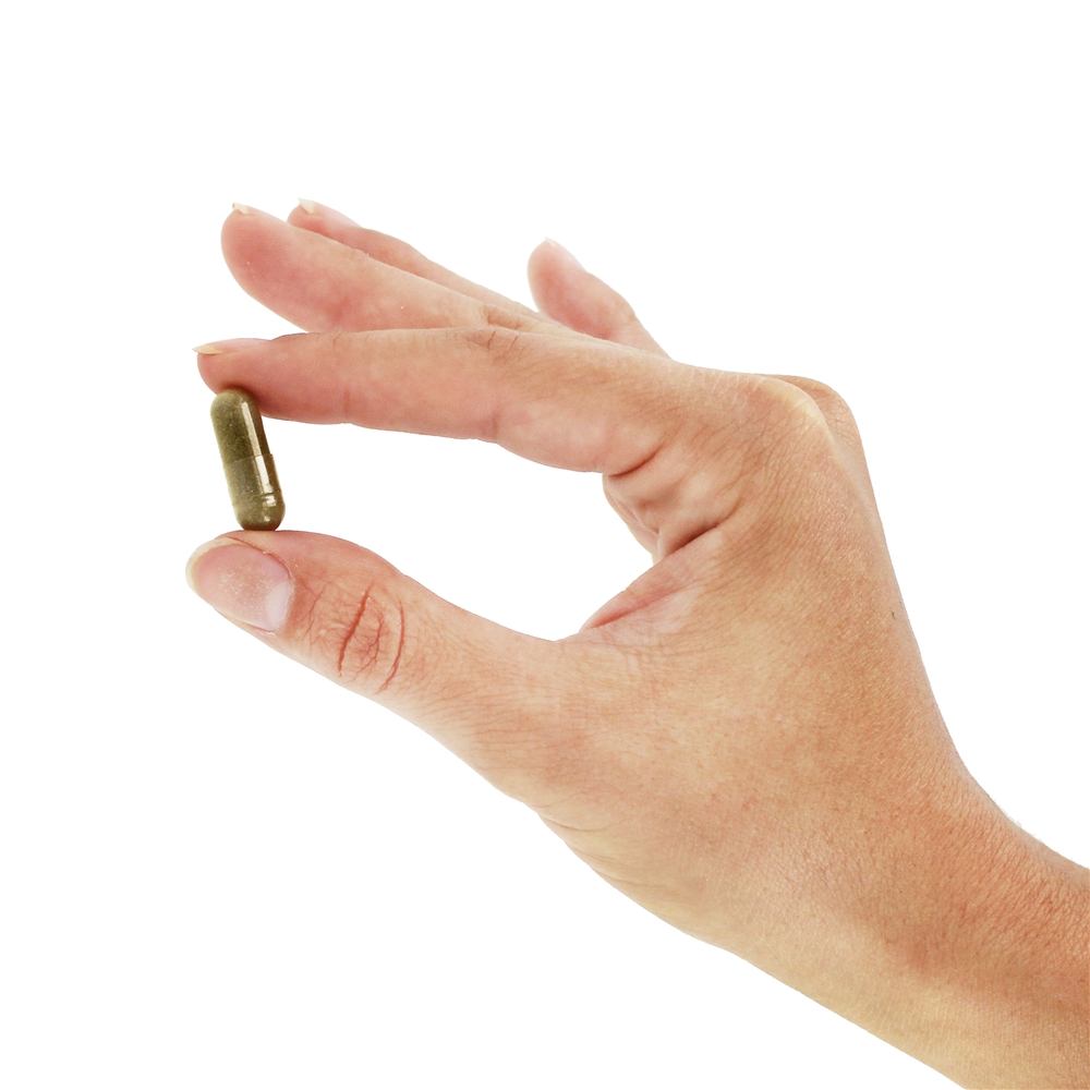 Mistura de suporte digestivo com fenu-tomilho 900 mg . - Cápsulas Vegan 100 Nature's Way - Imagem 5