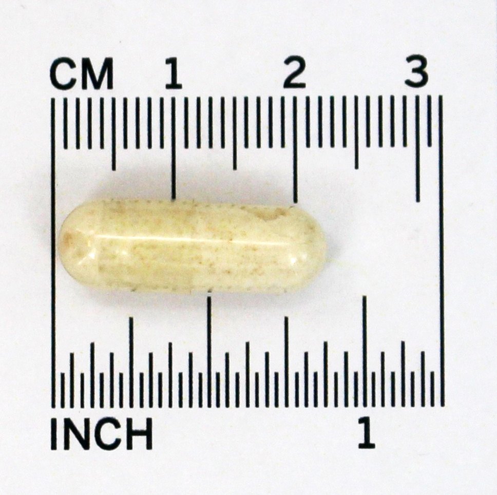Panax Ginseng 500 mg. - Cápsulas 250 NOW Foods - Imagem 4