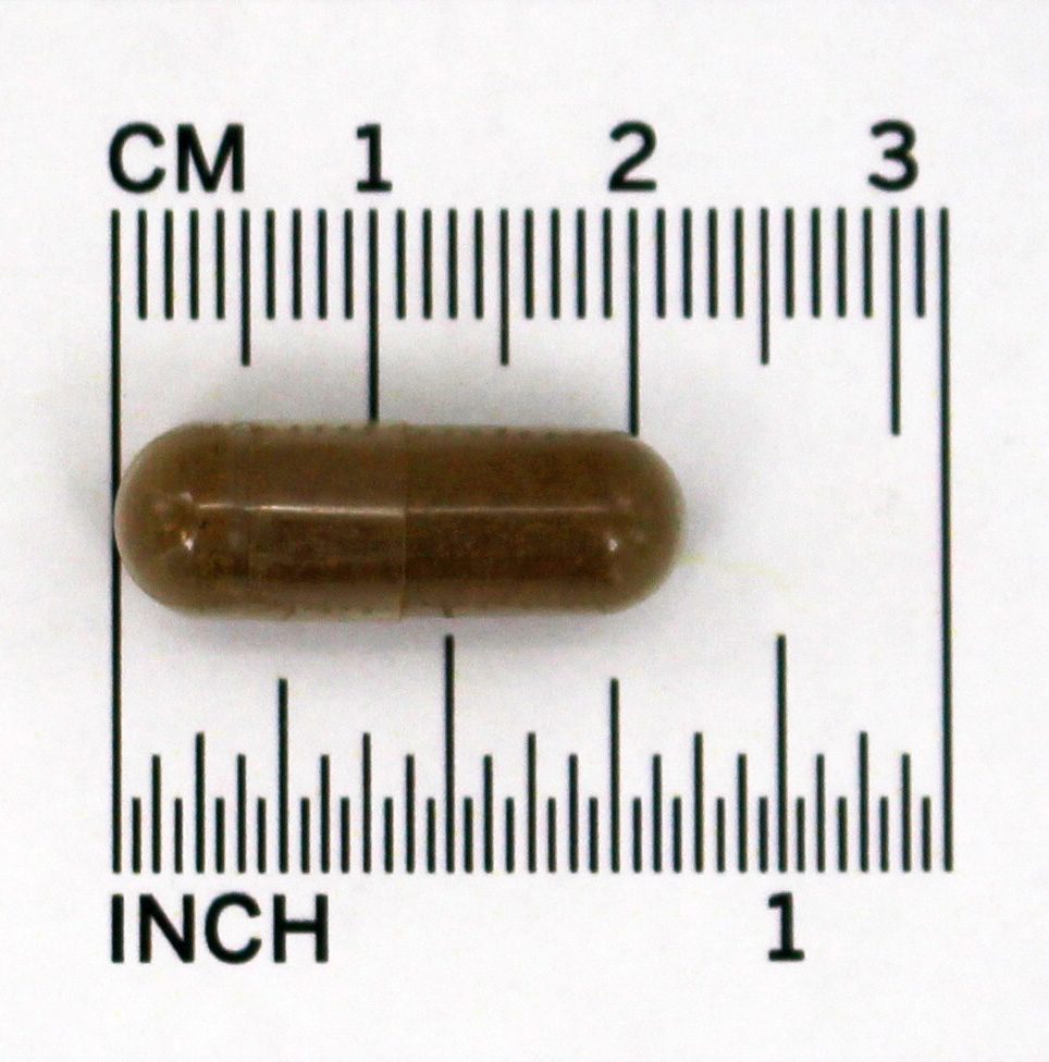 Raiz de Valeriana 500 mg. - Cápsulas 100 NOW Foods - Imagem 4