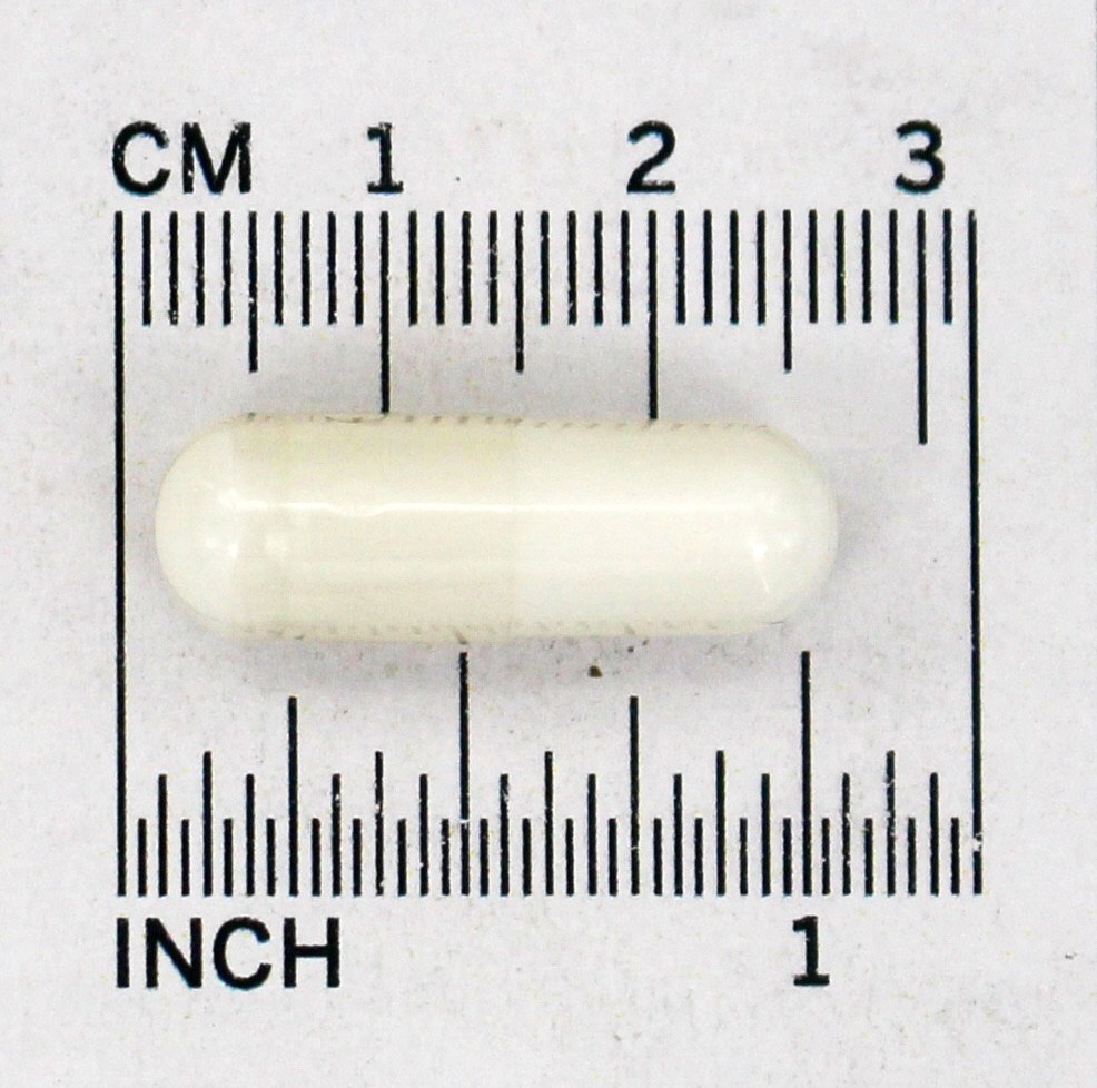 Aminoácido L-Ornitina 500 mg . - Cápsulas 120 NOW Foods - Imagem 4