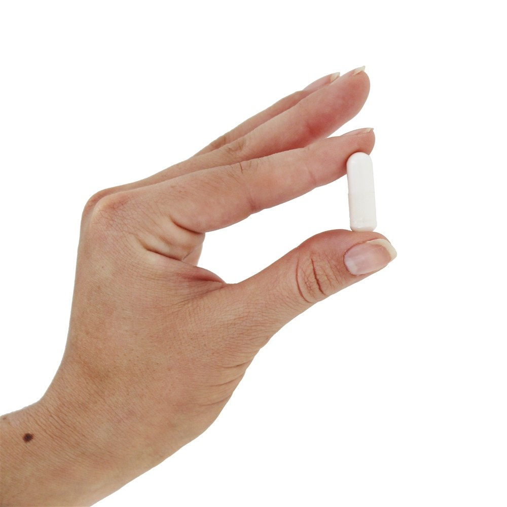 Aminoácido L-Ornitina 500 mg . - Cápsulas 120 NOW Foods - Imagem 5