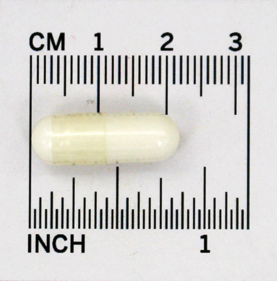 L-Tirosina 500 mg. - Cápsulas 120 NOW Foods - Imagem 4