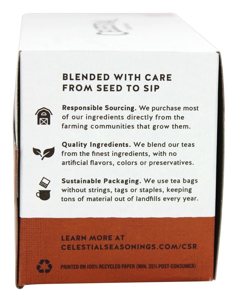 Especiaria Bengal livre de cafeína chá de ervas - 20 Saquinhos de Chá Celestial Seasonings - Imagem 3