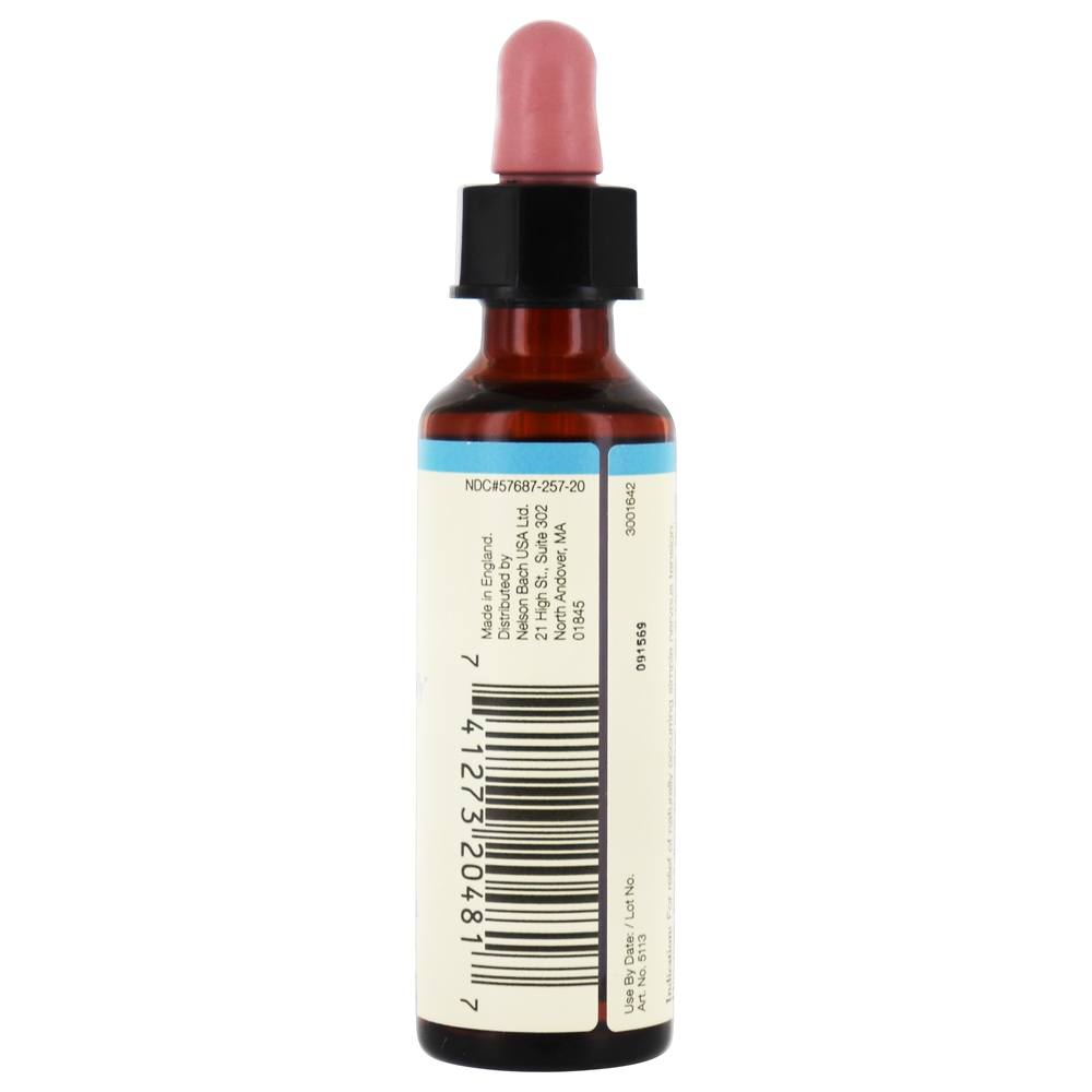 Bach Original Flor Remédio Conta-gotas Chicória Flor Essência - 20 ml. Bach - Imagem 3