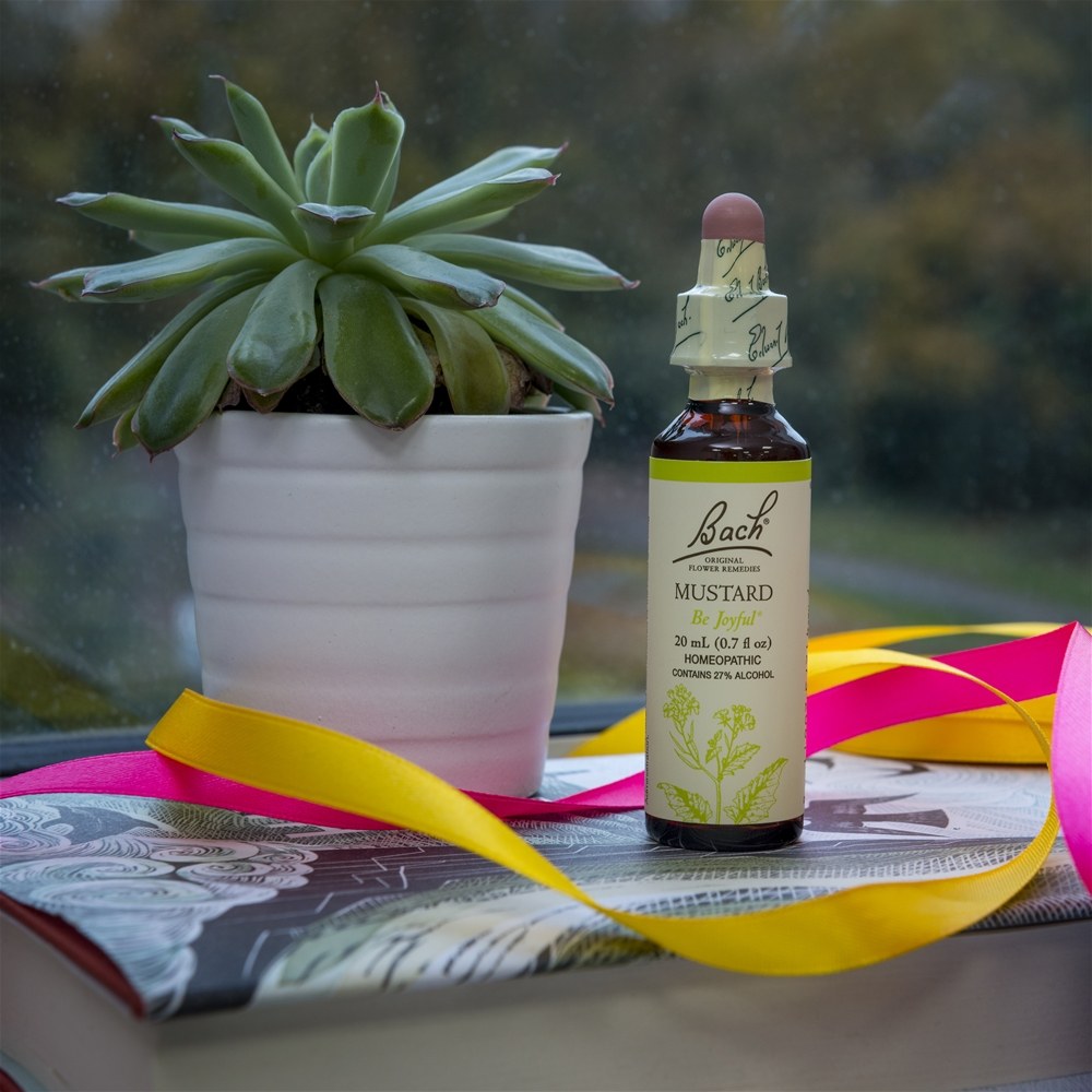 Bach Original Flor Remedy Dropper Mostarda Flor Essência - 20 ml. Bach - Imagem 5