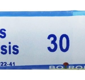 Comprar hydrastis canadensis 30 c - boiron 80 boiron preço no brasil homeopatia hydrastis canadensis suplemento importado loja 1 online promoção -