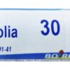 Comprar drosera rotundifolia 30 c - boiron 80 boiron preço no brasil homeopatia remédios para a tosse suplemento importado loja 9 online promoção -