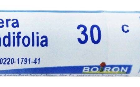 Comprar drosera rotundifolia 30 c - boiron 80 boiron preço no brasil drosera rotundifolia homeopatia suplemento importado loja 1 online promoção -