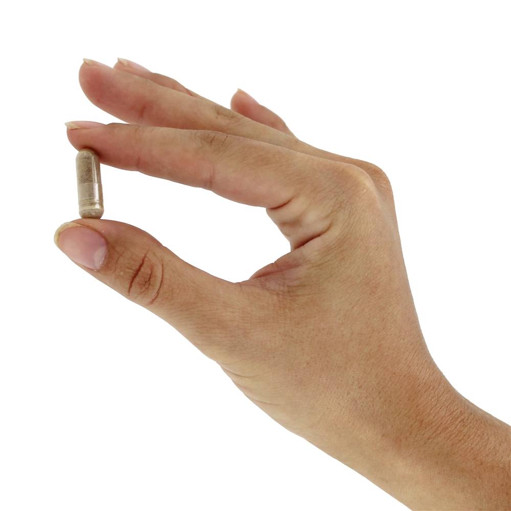 Clear Sinus & Ear Homeopático / Herbal Relief Formula - Cápsulas 60 Clear Products - Imagem 5