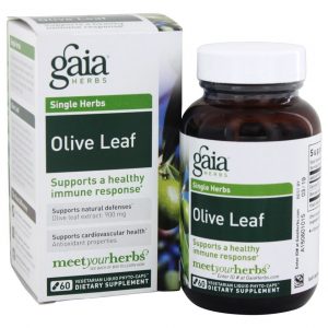 Comprar cápsulas de phyto líquido de folha verde-oliva - cápsulas vegetarianas 60 gaia herbs preço no brasil ervas folha de oliveira suplemento importado loja 29 online promoção -