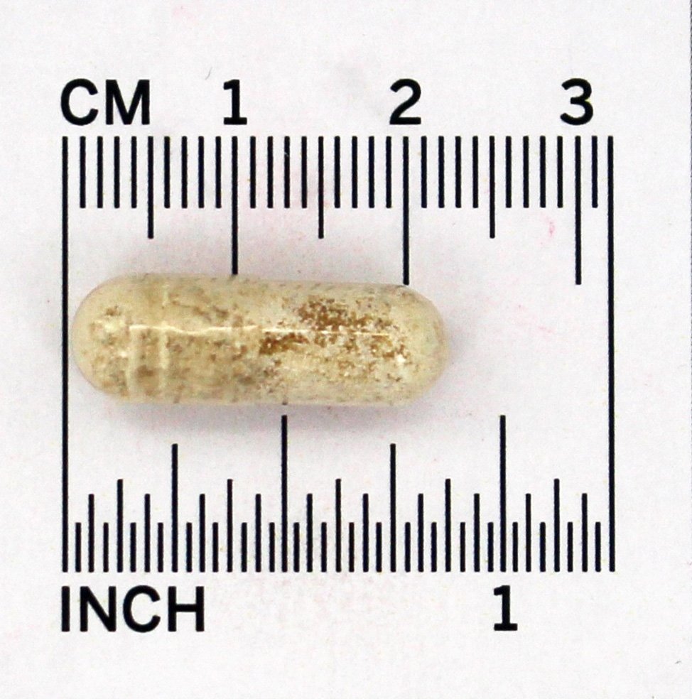 Ashwagandha 300 mg. - Cápsulas vegetarianas 120 Jarrow Formulas - Imagem 4
