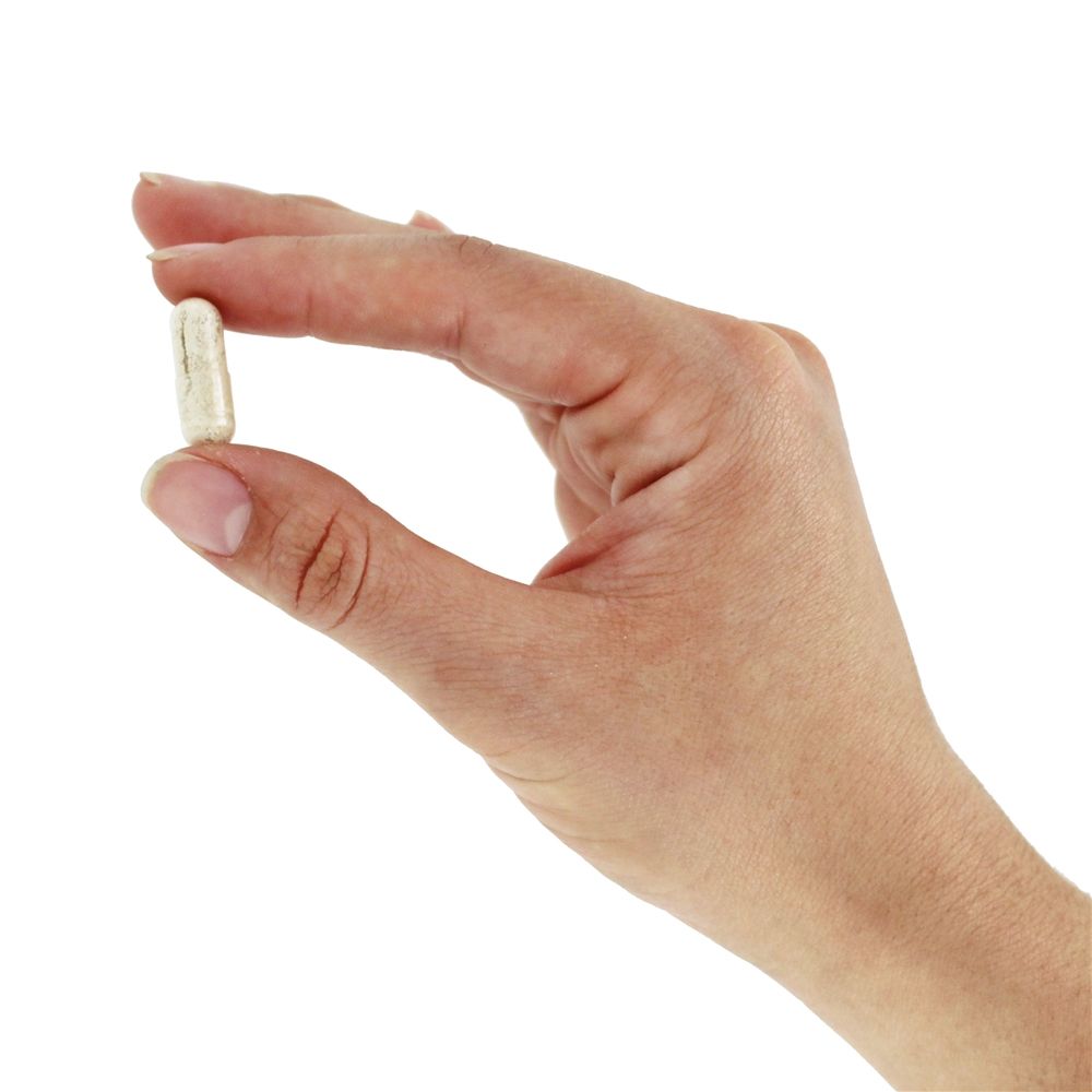 Ashwagandha 300 mg. - Cápsulas vegetarianas 120 Jarrow Formulas - Imagem 5