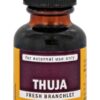 Comprar extrato de thuja - 1 fl. Oz. Herb pharm preço no brasil camu-camu ervas suplemento importado loja 7 online promoção -