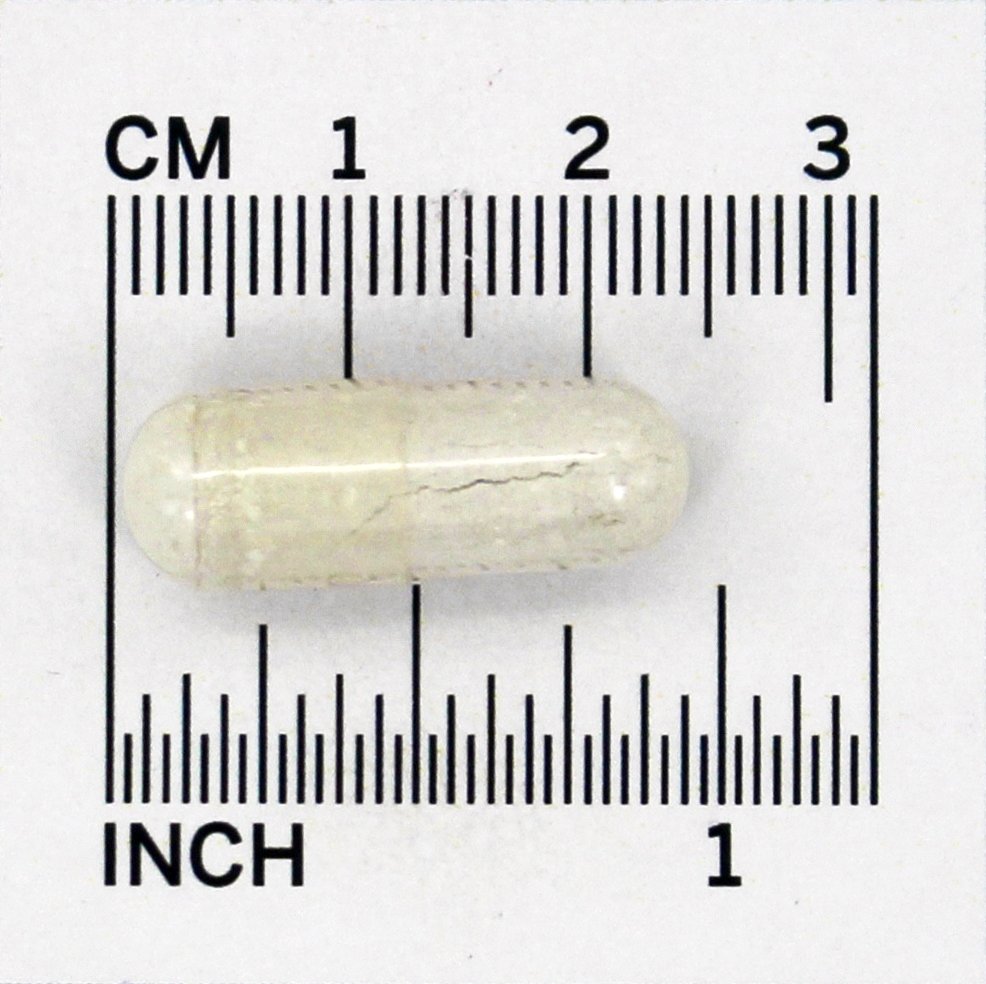 Bone-Up - Cápsulas 240 Jarrow Formulas - Imagem 4