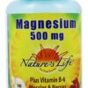 Comprar magnésio 500 mg. - cápsulas 100 nature's life preço no brasil vitaminas e minerais zinco suplemento importado loja 15 online promoção -