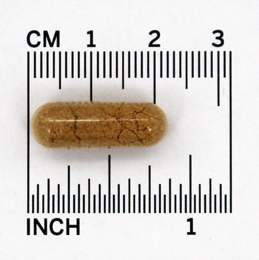 Rose Hips 550 mg. - Cápsulas 100 Solaray - Imagem 4