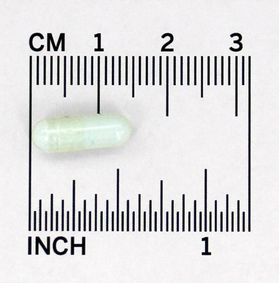 Zinco Balance 15 mg. - Cápsulas 100 Jarrow Formulas - Imagem 4