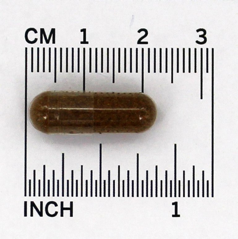 Semente de aipo 505 mg. - Cápsulas 100 Solaray - Imagem 4