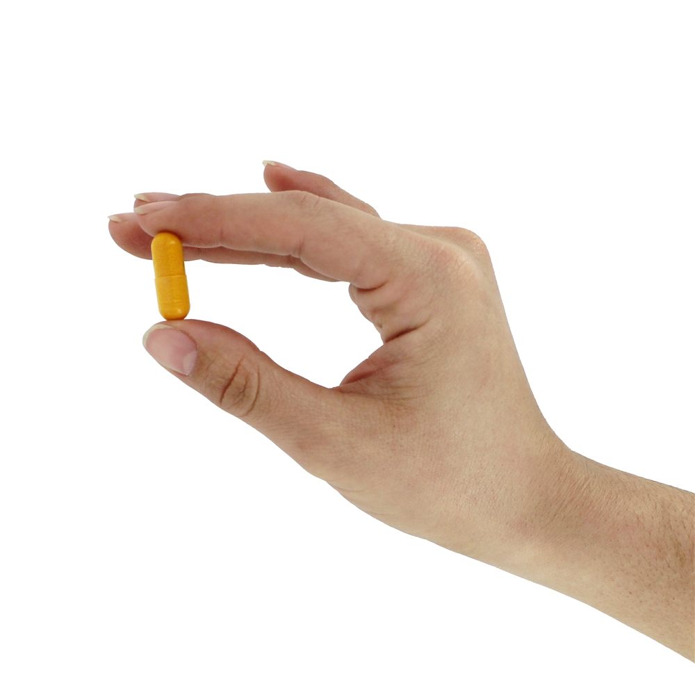Curcumina 95 500 mg. - Cápsulas 120 Jarrow Formulas - Imagem 6