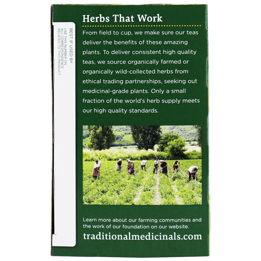 Chá de ervas orgânico de hortelã - 16 Saquinhos de Chá Traditional Medicinals - Imagem 4