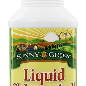 Comprar clorofila líquida sabor hortelã 100 mg. - 16. 2 fl. Oz. Sunny green preço no brasil suplementos nutricionais theanine suplemento importado loja 115 online promoção -