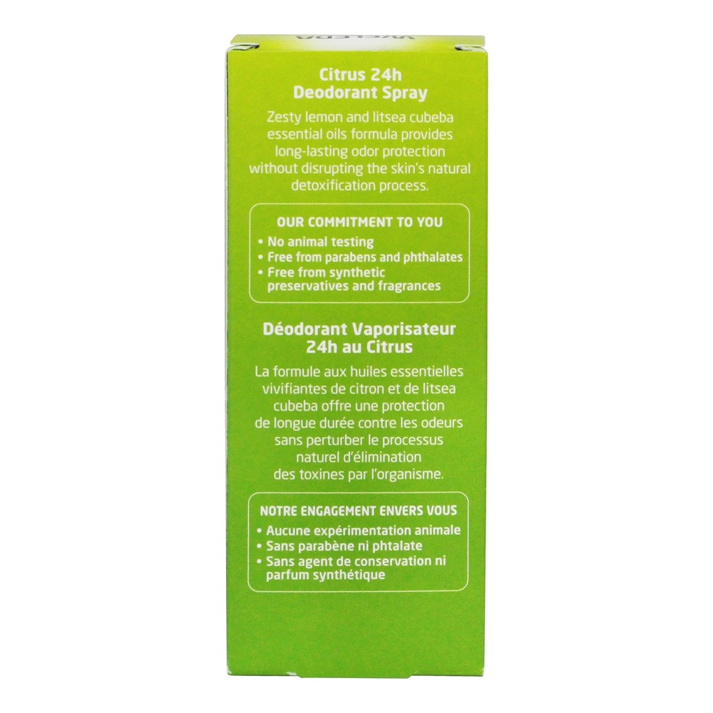 Extratos Citrinos de Desodorante Spray 24h - 3.4 fl. oz. Weleda - Imagem 4