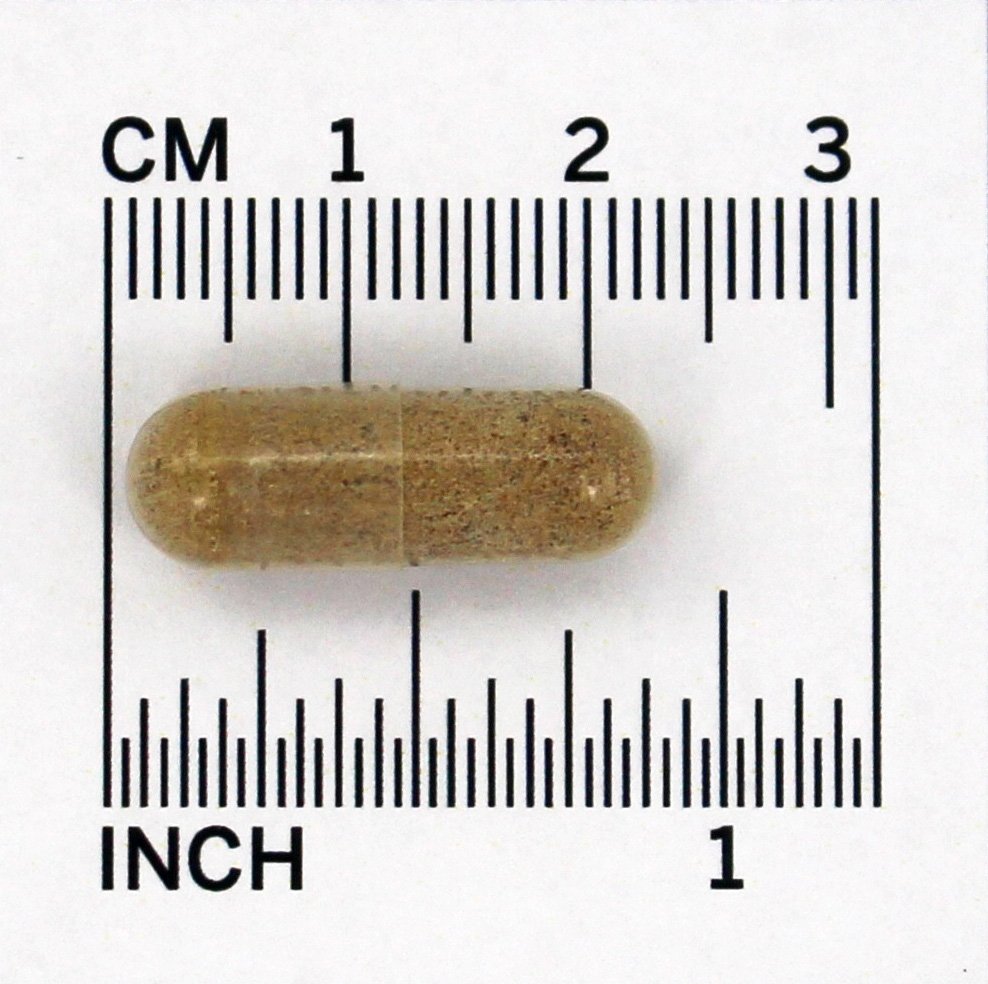 Ginkgo Força Extra 120 mg. - Cápsulas vegetarianas 120 Doctor's Best - Imagem 4