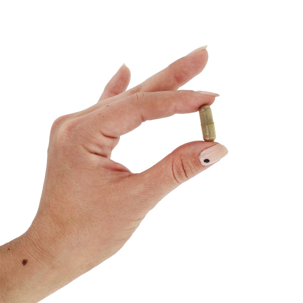 Resveratrol natural 200 mg . - 60 Cápsula (s) vegetal (s) NOW Foods - Imagem 5