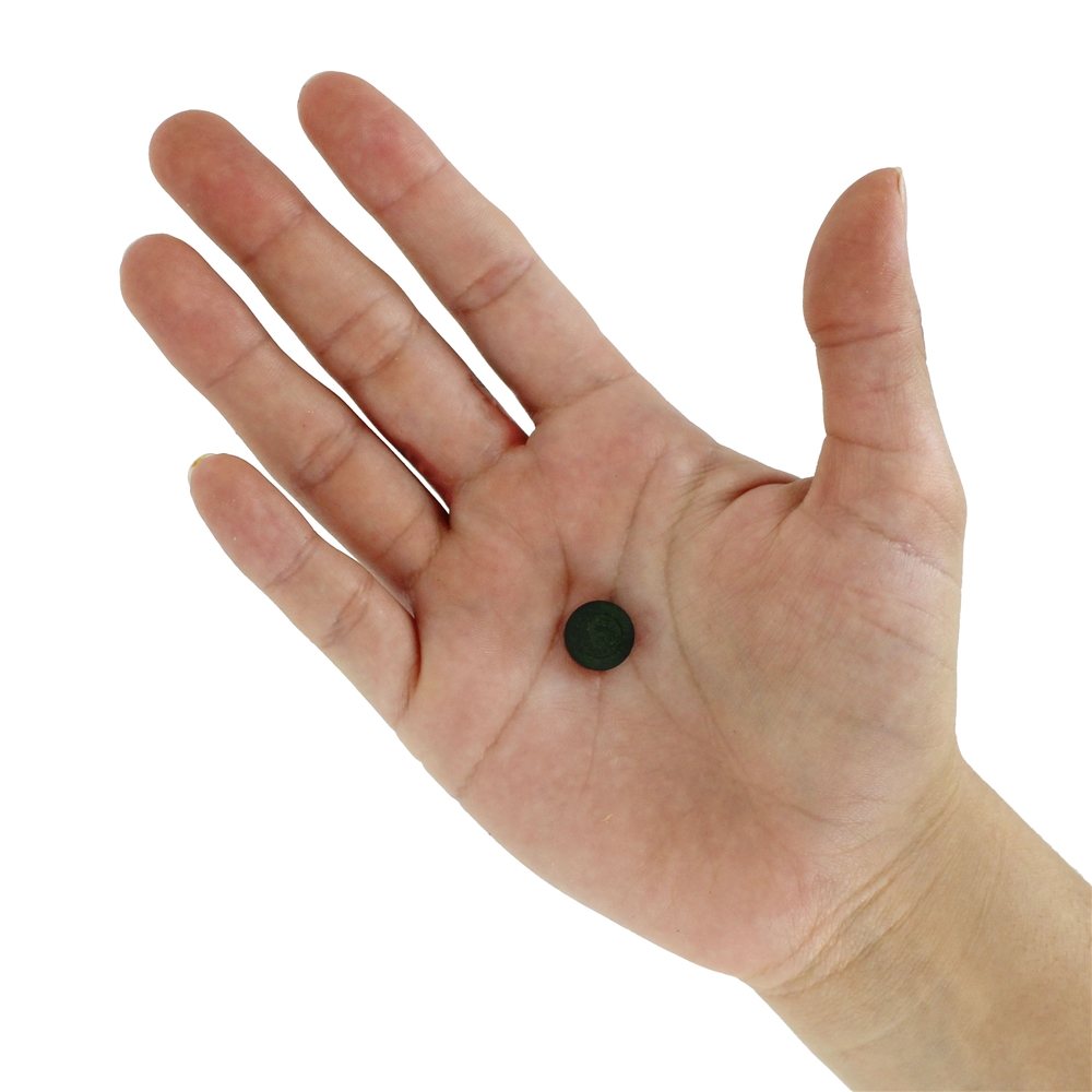 Spirulina Ouro Mais 500 mg. - 180 Tablets Earthrise - Imagem 5