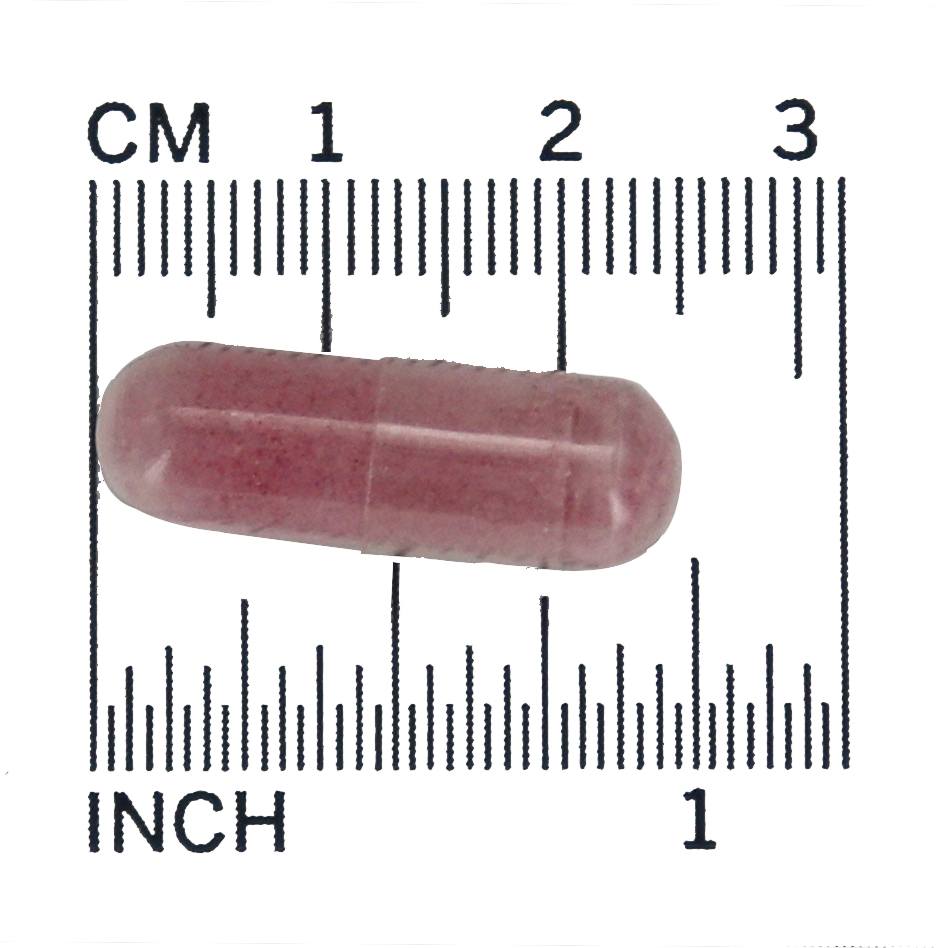 Concentrado de cereja 750 mg . - 180 Cápsula (s) vegetal (s) NOW Foods - Imagem 4