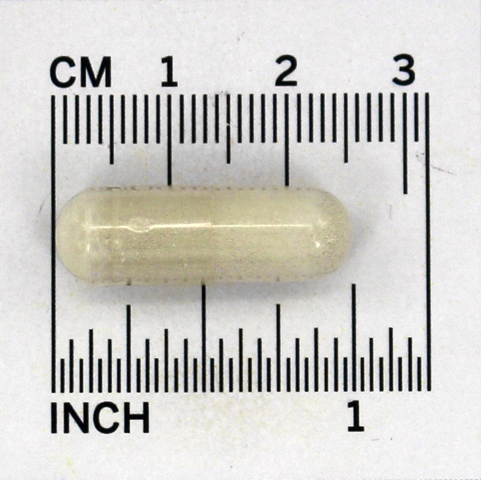 Algas Minerais Vermelhas Cálcio Vegetariano - Cápsulas vegetarianas 180 NOW Foods - Imagem 4