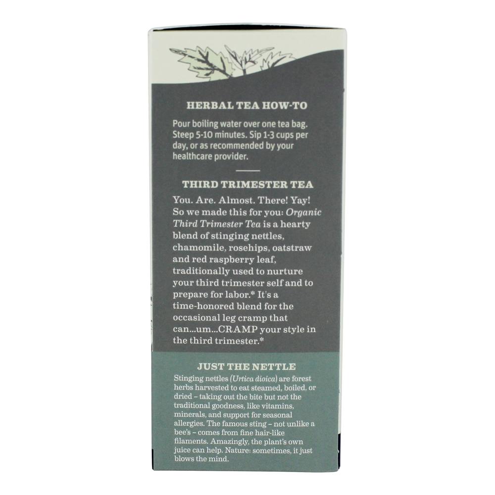 Hortelã-erva perfumado de cafeína livre de cafeína terceiro chá orgânico - 16 Saquinhos de Chá Earth Mama - Imagem 3