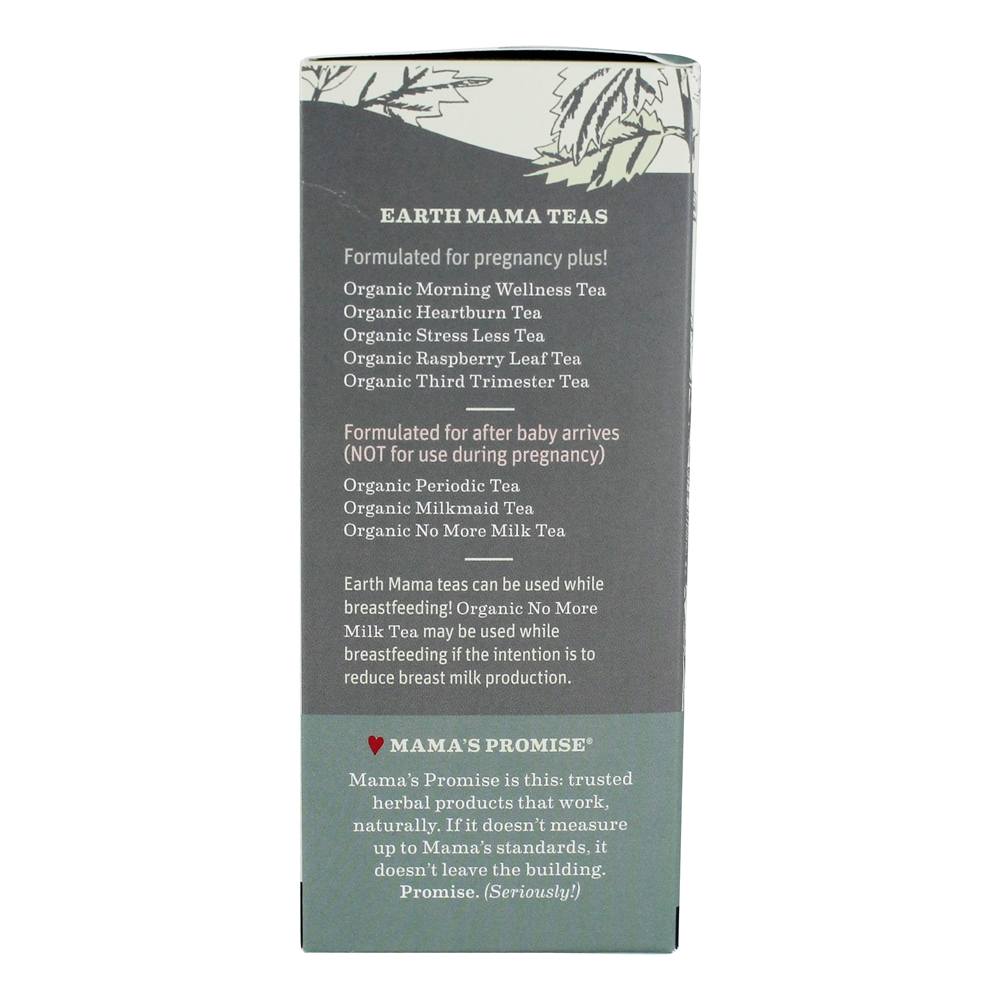 Hortelã-erva perfumado de cafeína livre de cafeína terceiro chá orgânico - 16 Saquinhos de Chá Earth Mama - Imagem 4