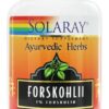 Comprar ayurvedic ervas forskohlii forskolin 385 mg. - cápsulas 60 solaray preço no brasil dieta e perda de peso forscolina suplemento importado loja 1 online promoção -