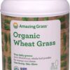 Comprar amazing grass organic wheat grass powder -- 100 servings preço no brasil diet & weight diuretics suplementos em oferta vitamins & supplements suplemento importado loja 5 online promoção -