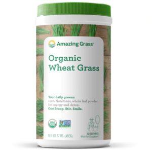 Comprar amazing grass organic wheat grass powder -- 60 servings preço no brasil herbs & botanicals superfoods suplementos em oferta wheat grass suplemento importado loja 71 online promoção -
