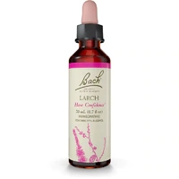Bach Original Flower Remedy Dropper Larch Flower Essence -- 0.7 fl oz