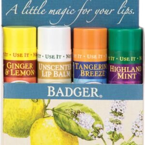 Comprar badger lip balm variety 4 pack -- 4 lip balm preço no brasil lip balm lip care medicine cabinet suplementos em oferta suplemento importado loja 77 online promoção -