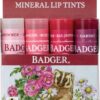 Comprar badger mineral lip tints -- 4 pack preço no brasil herbs & botanicals sleep support suplementos em oferta valerian suplemento importado loja 5 online promoção -