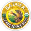 Comprar badger organic sore joint rub arnica blend -- 2 oz preço no brasil beauty & personal care oral hygiene personal care suplementos em oferta suplemento importado loja 5 online promoção -