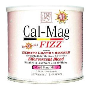 Comprar baywood international cal-mag fizz mixed berry -- 17. 4 oz preço no brasil calcium calcium & magnesium complex minerals suplementos em oferta vitamins & supplements suplemento importado loja 17 online promoção -