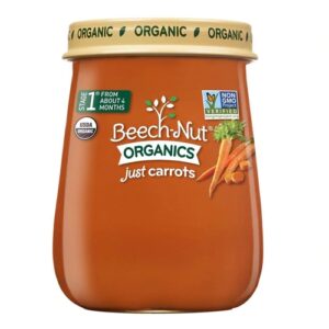Purê de Cenoura Orgânica Beech-Nut para Bebês - 10 Potes de 113g Cada