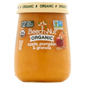 Comprar beech-nut organic stage 2 apple, pumpkin & granola -- 4 oz each / pack of 10 preço no brasil babies & kids diaper creams & ointments diapering suplementos em oferta suplemento importado loja 9 online promoção -