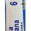 Comprar boiron arnica montana 6c -- 80 pellets preço no brasil gaba sleep support suplementos em oferta vitamins & supplements suplemento importado loja 5 online promoção -