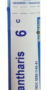 Comprar boiron cantharis 6c -- 80 pellets preço no brasil homeopathic remedies organs & glands suplementos em oferta thyroid support vitamins & supplements suplemento importado loja 23 online promoção -