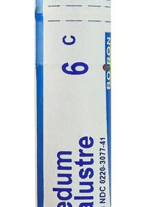Boiron Ledum Palustre 6C Homeopático - 80 Pellets para Bem-Estar Natural