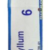 Comprar boiron podophyllum peltatum 6c -- 80 pellets preço no brasil amino acids n-acetyl cysteine (nac) suplementos em oferta vitamins & supplements suplemento importado loja 3 online promoção -