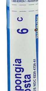 Comprar boiron spongia tosta 6c -- 80 pellets preço no brasil cold & flu cough medicine cabinet suplementos em oferta suplemento importado loja 69 online promoção -