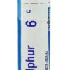 Comprar boiron sulphur 6c -- 80 pellets preço no brasil first aid (skin irritations) homeopathic remedies suplementos em oferta vitamins & supplements suplemento importado loja 1 online promoção -